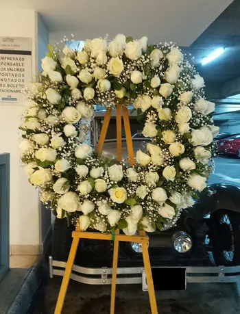 Corona de 100 Rosas Blancas